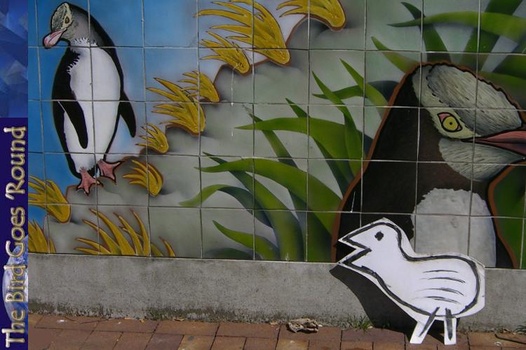 The world famous (in Dunedin) penguin wall. Now with added Nightingale.
