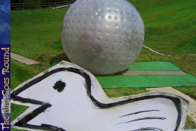 In NZ, this is known as a zorb. You climb inside and then get rolled down a large hill. They go bouncy!