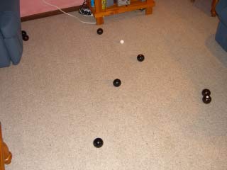 Carpet Bowling - Just one step below curling